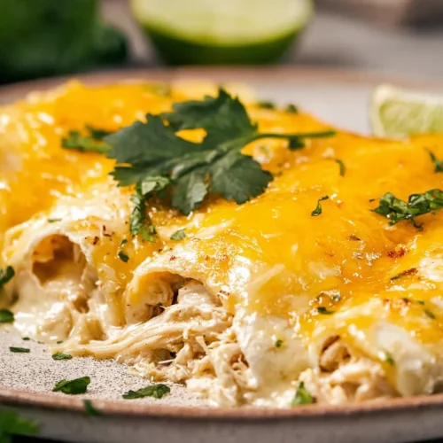 Close-up view of plated sour cream chicken enchiladas topped with melted Monterey Jack cheese and fresh cilantro, showing the creamy white sauce and tender shredded chicken filling inside.
