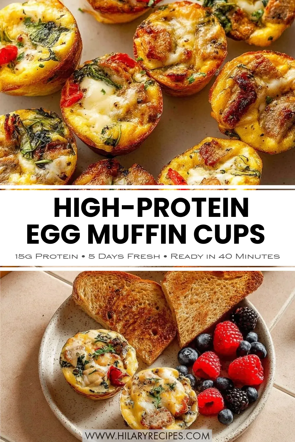 High-Protein Egg Muffin Cups pin Pinterest pin graphic for High-Protein Egg Muffin Cups. Top section: Close-up overhead shot of golden-baked egg bites filled with spinach, red peppers, and sausage. Center text: 'High-Protein Egg Muffin Cups' with subtext '15g Protein • 5 Days Fresh • Ready in 40 Minutes.' Bottom section: A balanced breakfast plate featuring two egg muffins, wheat toast, and fresh berries.